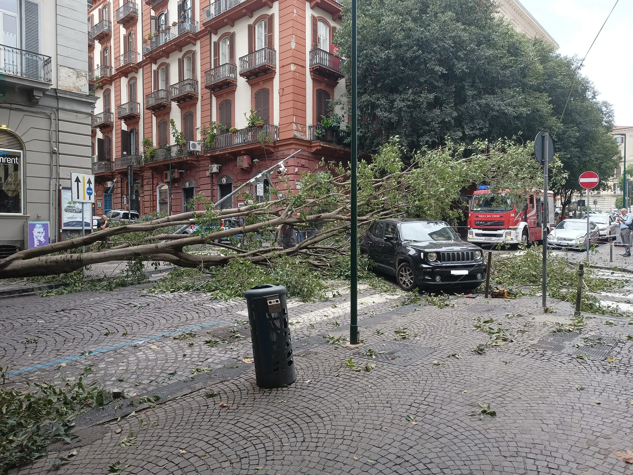 I vigili del fuoco in azione per la rimozione dell'albero caduto